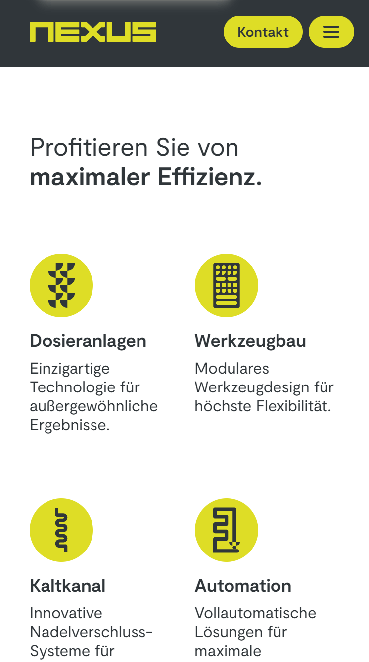 NEXUS Elastomer Systems GmbH